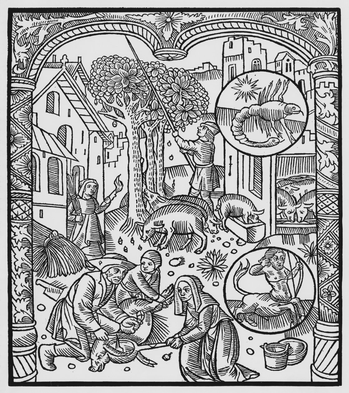 Novembre, uccisione del maiale e raccolta delle ghiande, Scorpione, illustrazione dall