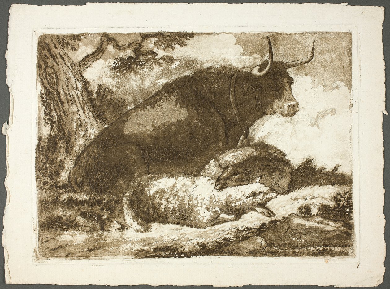 Un toro e due pecore da Pierre Lelu