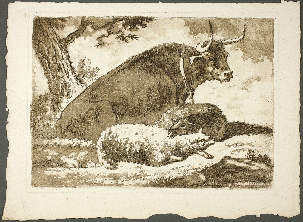 Un toro e due pecore da Pierre Lelu