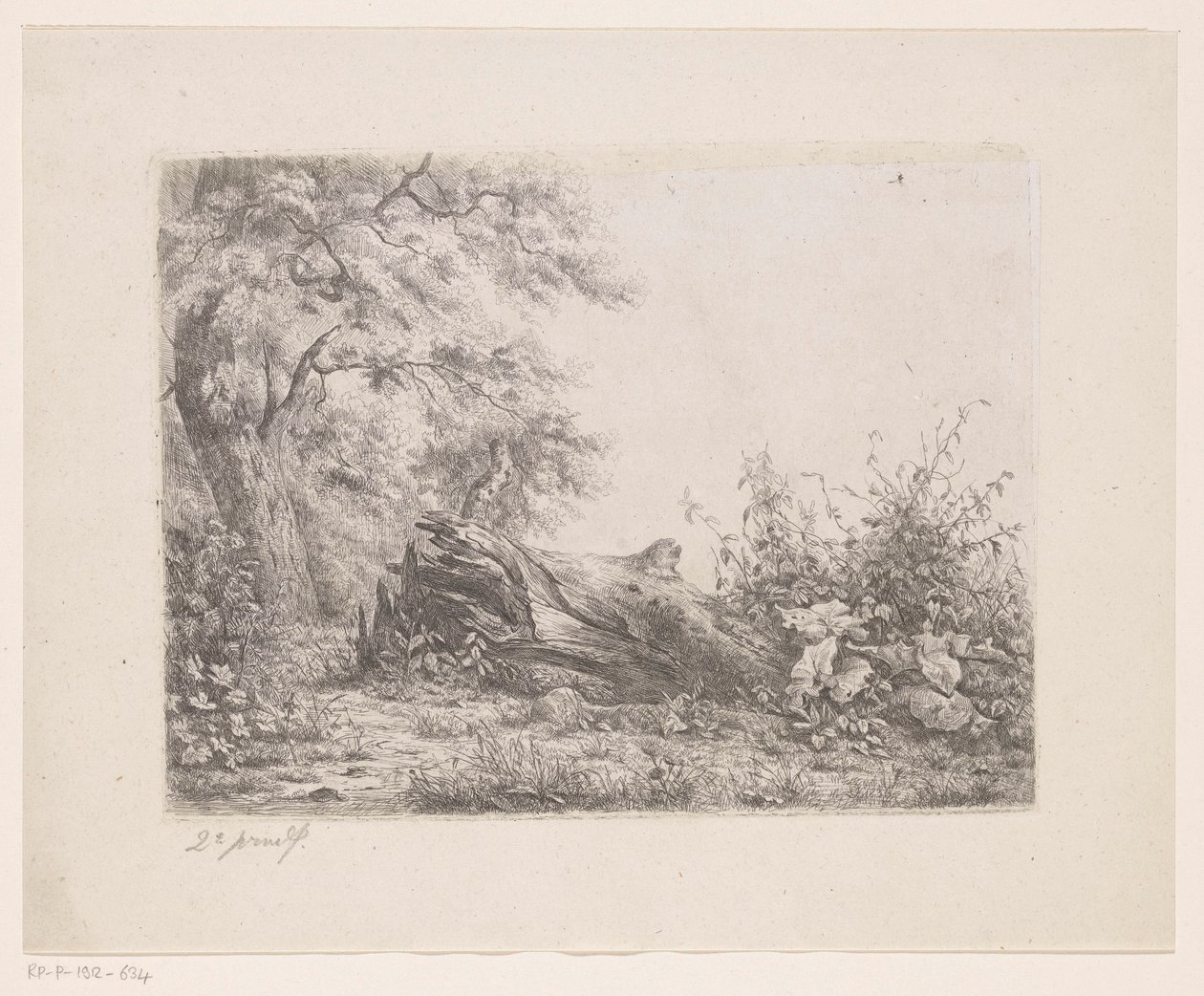 Albero caduto al margine del bosco da Pierre Louis Dubourcq