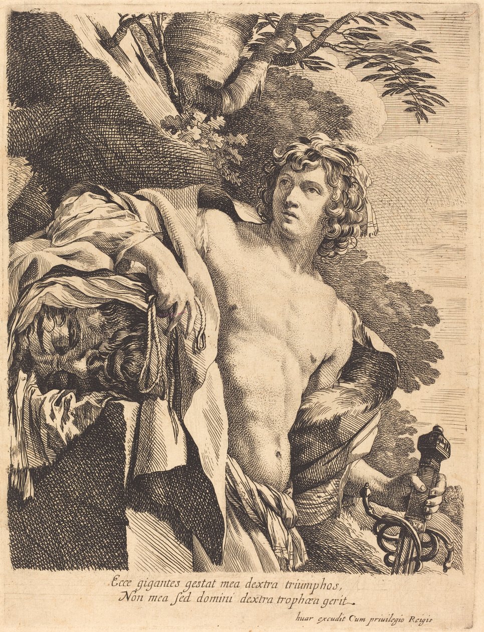 Davide con la testa di Golia da Pierre Mignard I after Simon Vouet