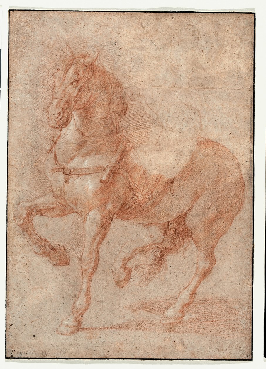Studio di Bucefalo per il rilievo "Alessandro e Diogene da Pierre Puget