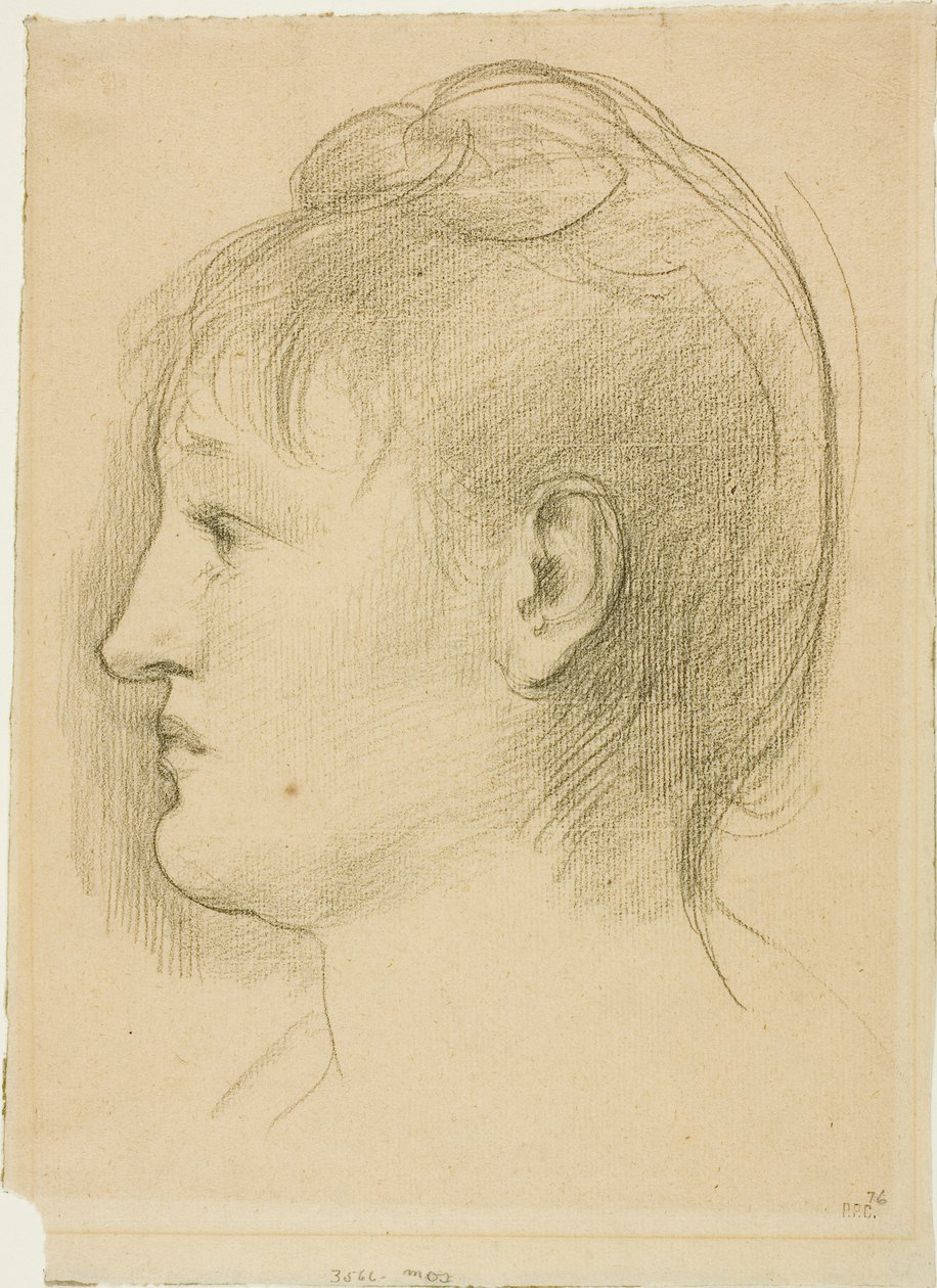 Testa di una donna da Pierre Puvis de Chavannes