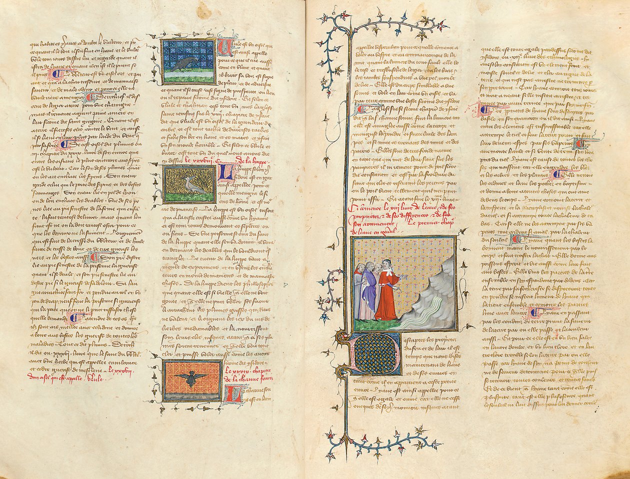 Pagina da "De Proprietatibus Rerum" di Bartholomeus Anglicus, nella traduzione francese di Jean Corbechon, c.1390 da Pierre Remiet