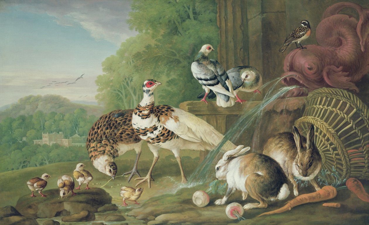 Uccelli e conigli da Pieter Casteels