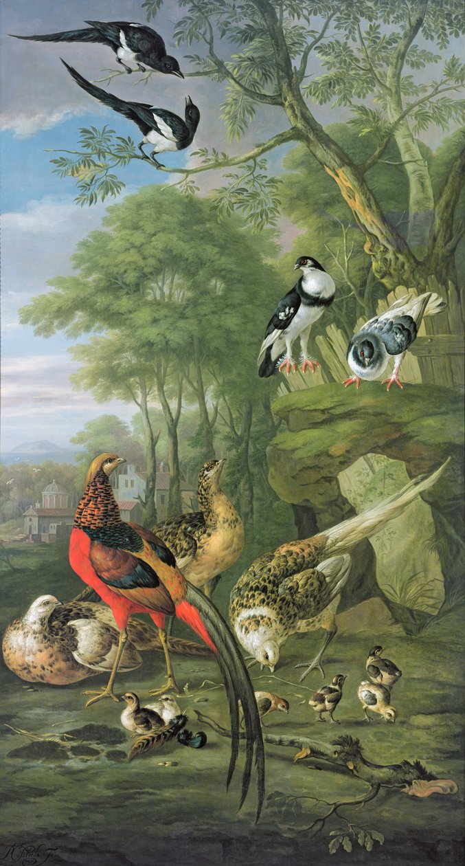Fagiano maschio, fagiano femmina e pulcini e altri uccelli in un paesaggio classico da Pieter Casteels