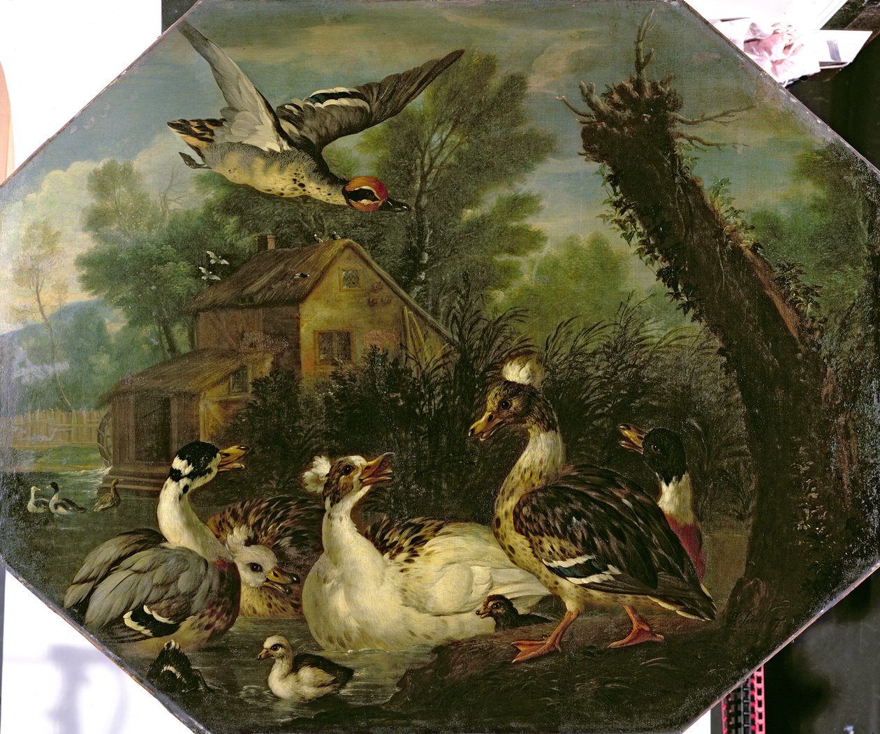 Uccelli Acquatici Ornamentali e i loro Anatroccoli in uno Stagno del Mulino da Pieter Casteels
