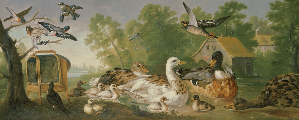 Immagine sconosciuta da Pieter Casteels
