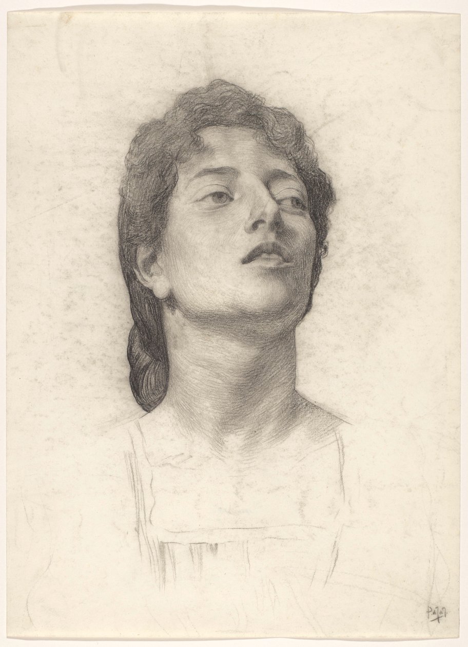 Ritratto di una donna da Pieter de Josselin