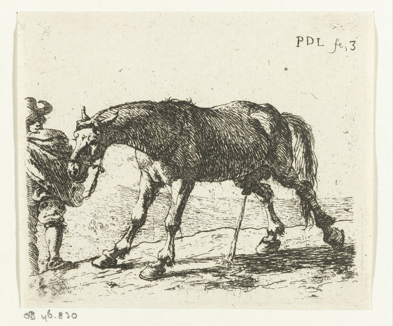 Cavallo che urina da Pieter van Laer
