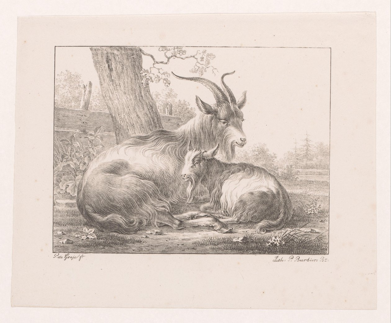 Capra e caprone nel paesaggio da Pieter Bartholomeusz. Barbiers