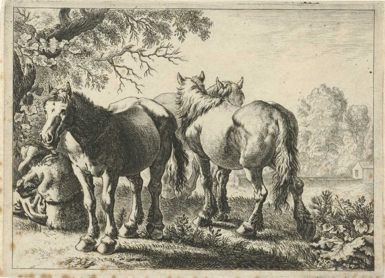 Tre cavalli e un contadino da Pieter Bodding van Laer
