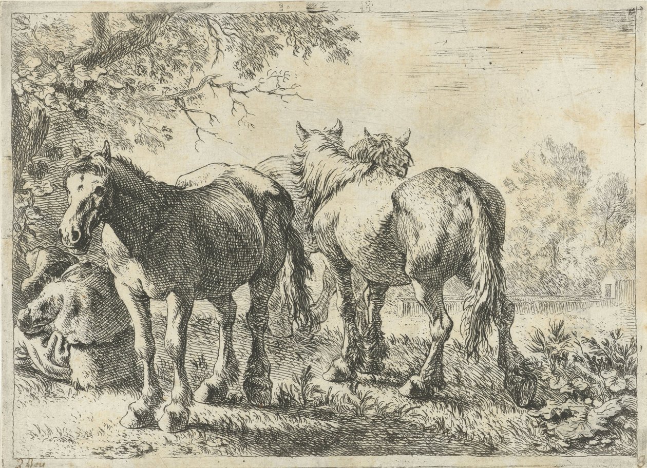 Tre cavalli e un contadino da Pieter Bodding van Laer