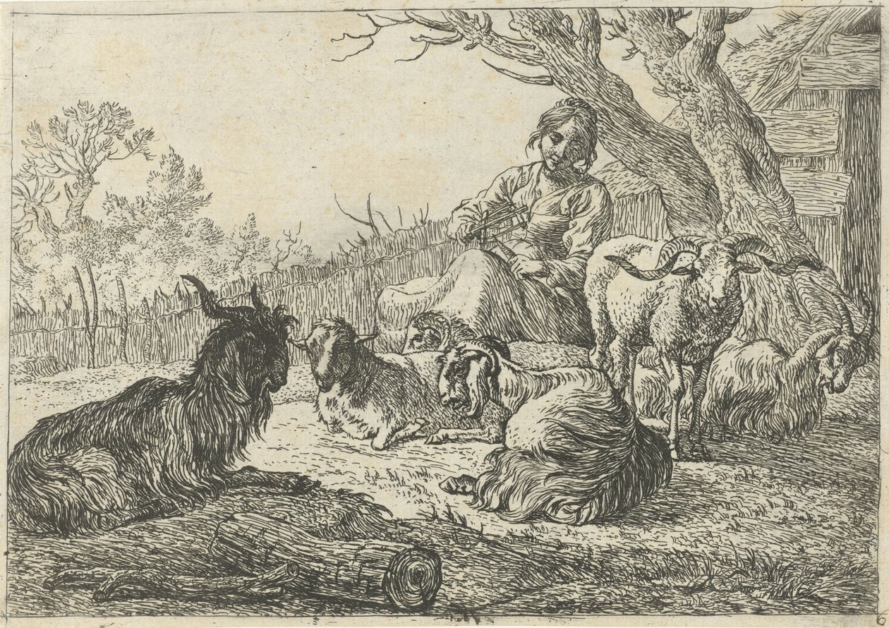 Pastorella tra capre e pecore (Diversi animali) da Pieter Bodding van Laer