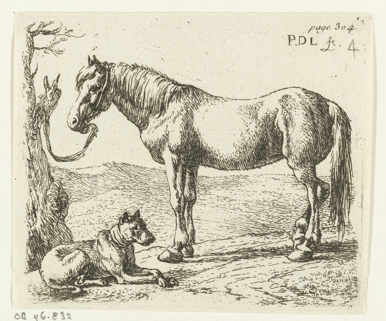 Cavallo e cane in un prato (Cavalli) da Pieter Bodding van Laer