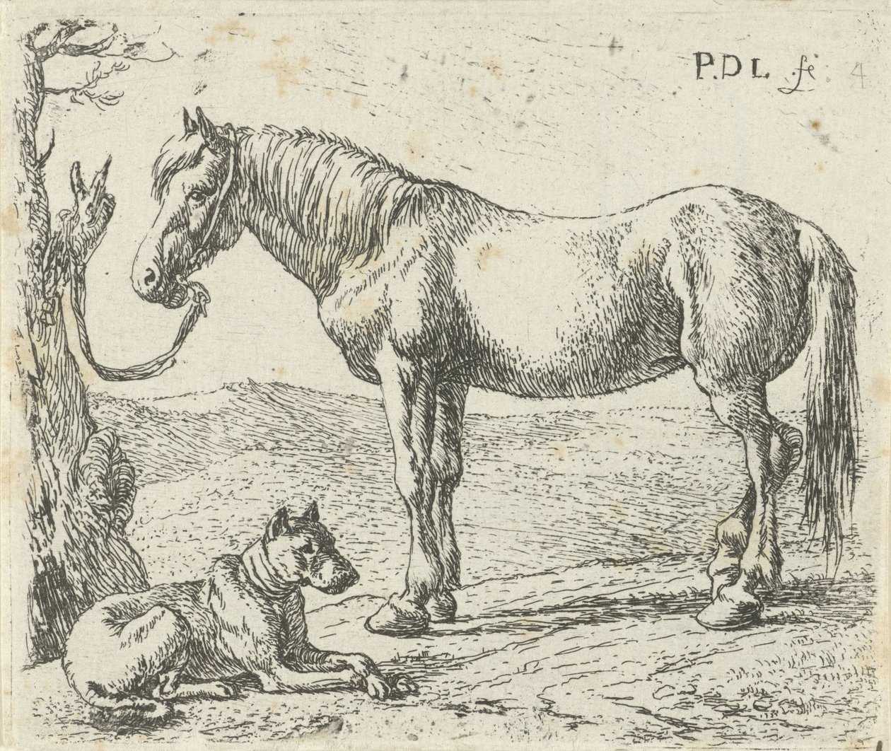 Cavallo e cane in un prato da Pieter Bodding van Laer