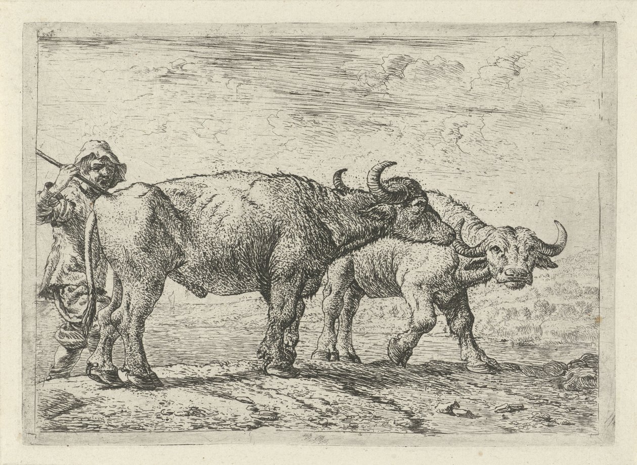 Due bufali e un pastore da Pieter Bodding van Laer