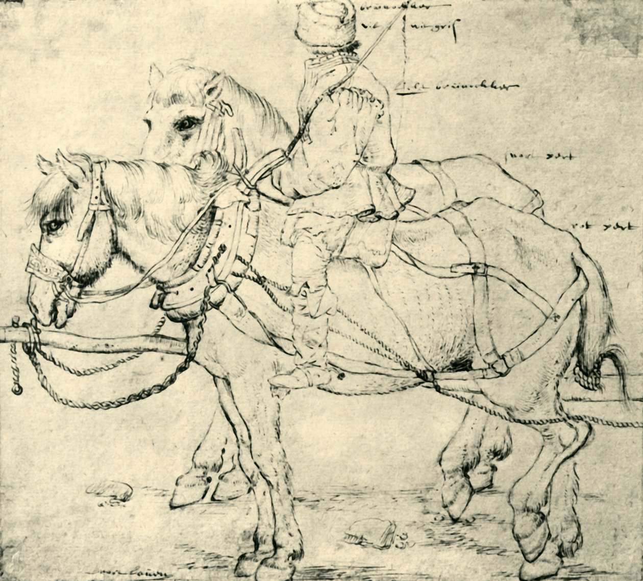 Cavaliere e due cavalli, 1559-1563 da Pieter Bruegel the Elder