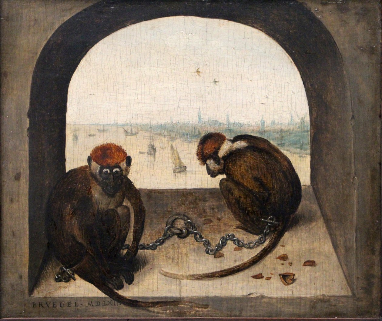 Tedesco: Zwei angekettete Affen Due scimmie incatenate da Pieter Brueghel the Elder