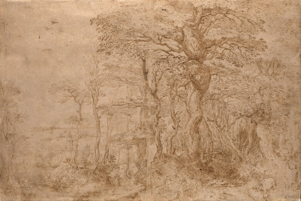 Paesaggio silvano con cinque orsi da Pieter Bruegel the Elder