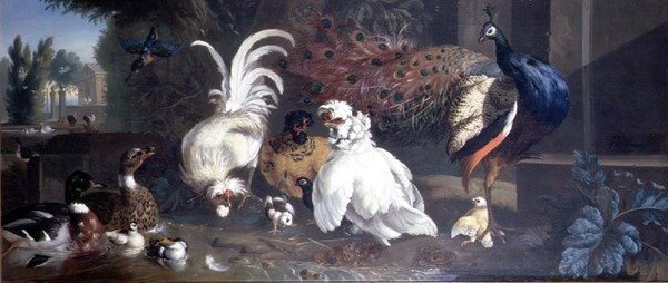 Un Pavone, Polli, Anatre e un Martin Pescatore da Pieter Casteels