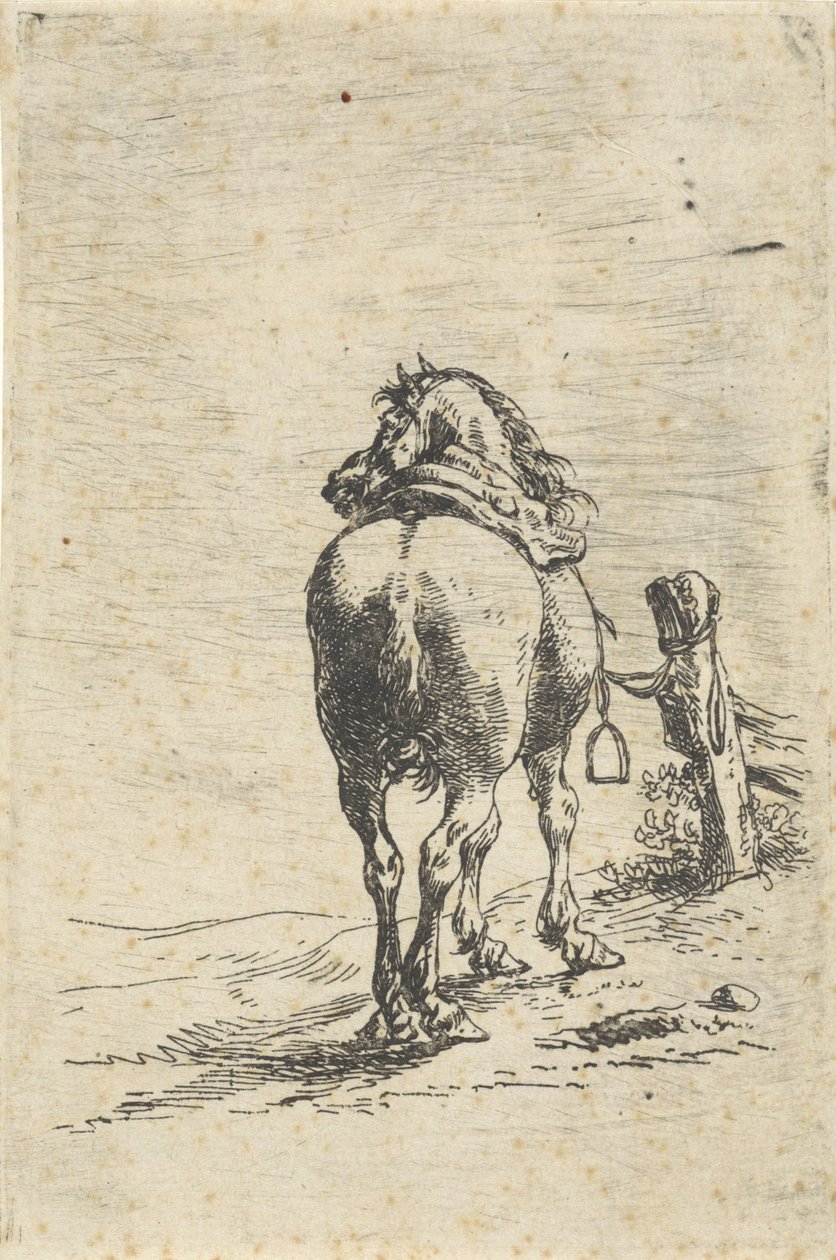 Cavallo sellato legato a un palo da Pieter Cornelisz. Verbeeck