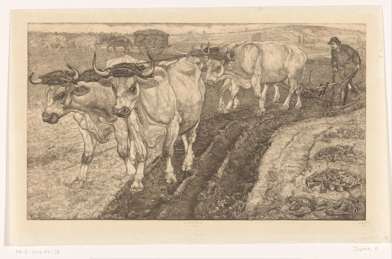 Les Boeufs da Pieter Dupont (signed by artist)