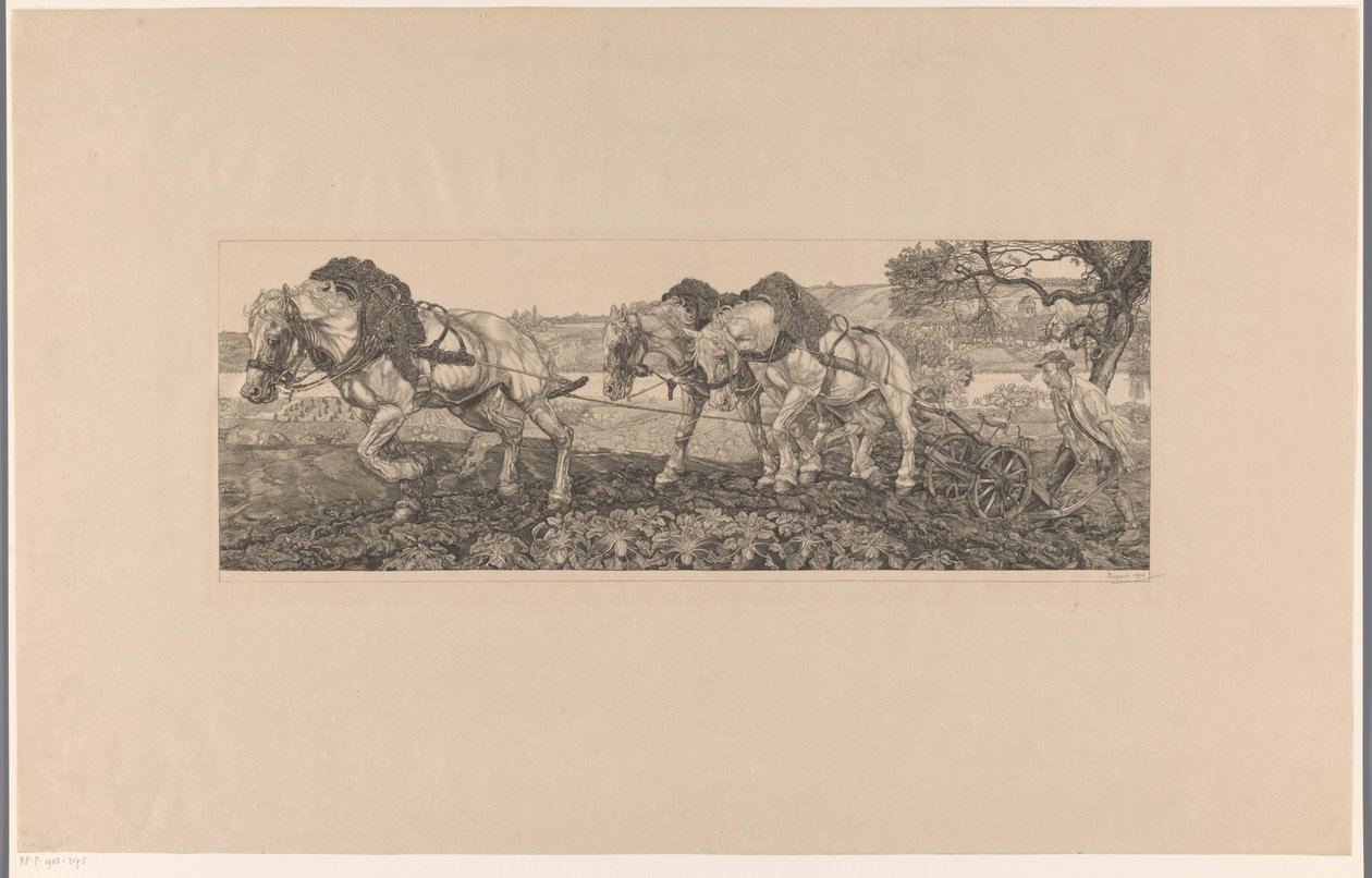 Cavalli che arano da Pieter Dupont (signed by artist)