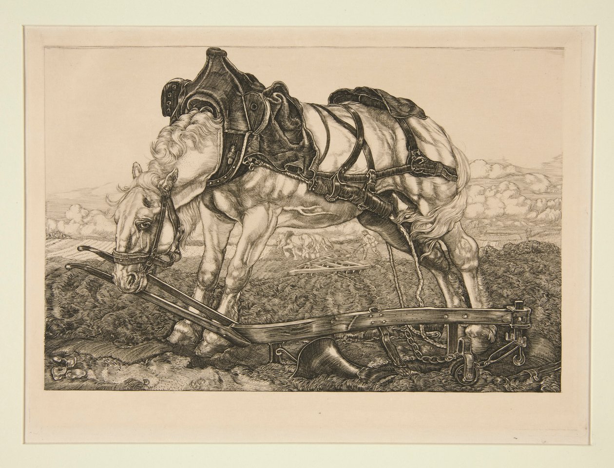 Cavallo da lavoro da Pieter Dupont