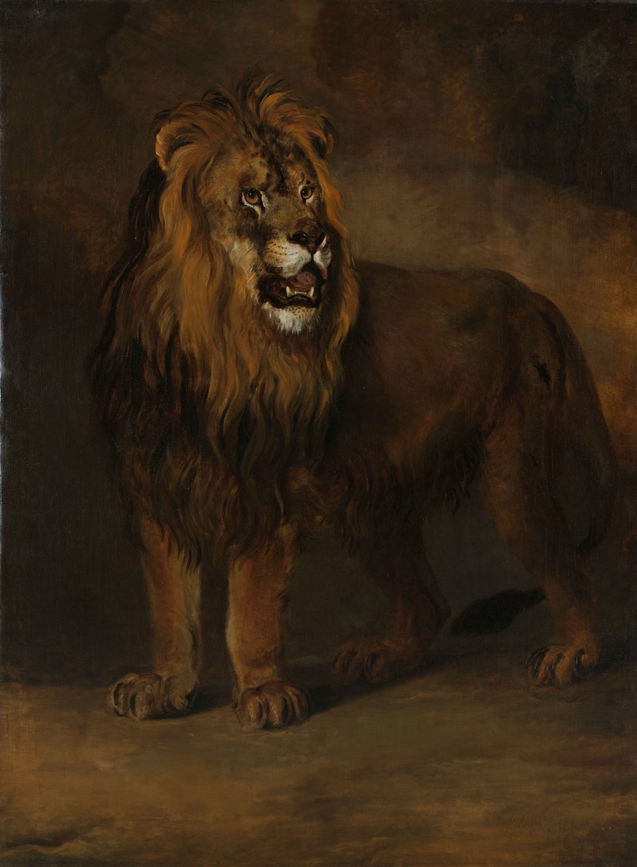 Un Leone dalla Menagerie di Re Luigi Napoleone, 1808 da Pieter Gerardus van Os