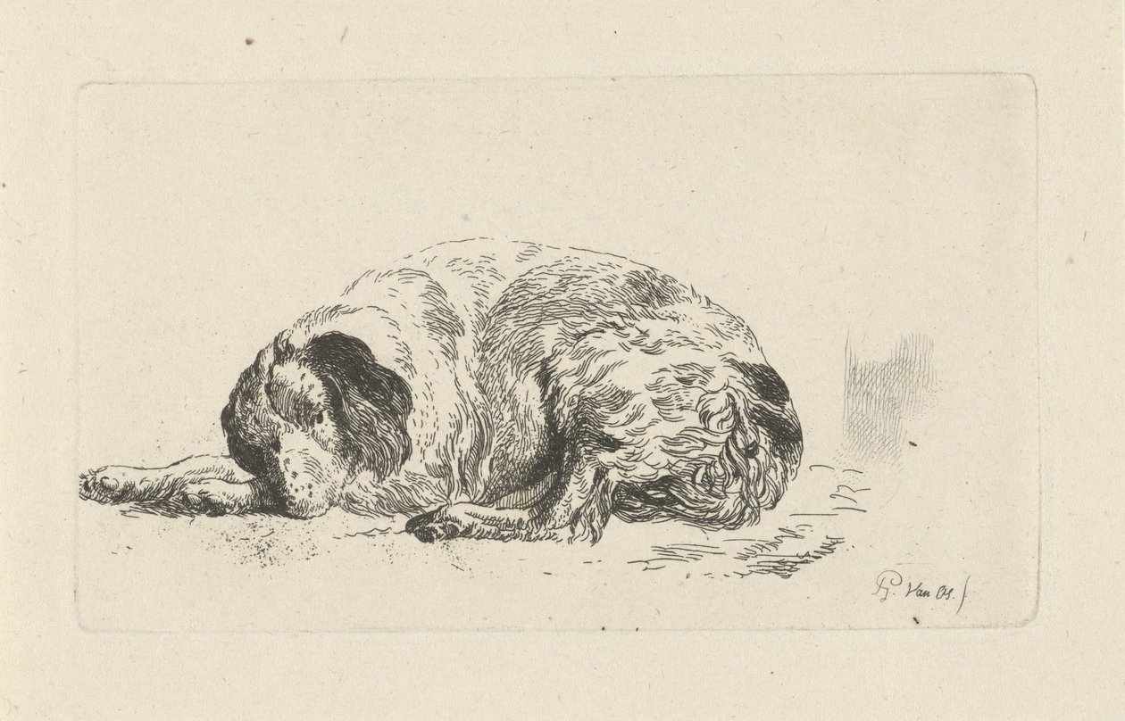 Cane sdraiato da Pieter Gerardus van Os