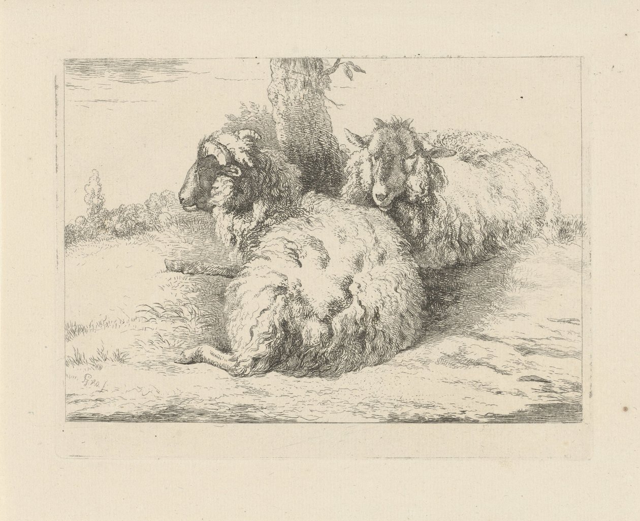 Pecore sdraiate da Pieter Gerardus van Os