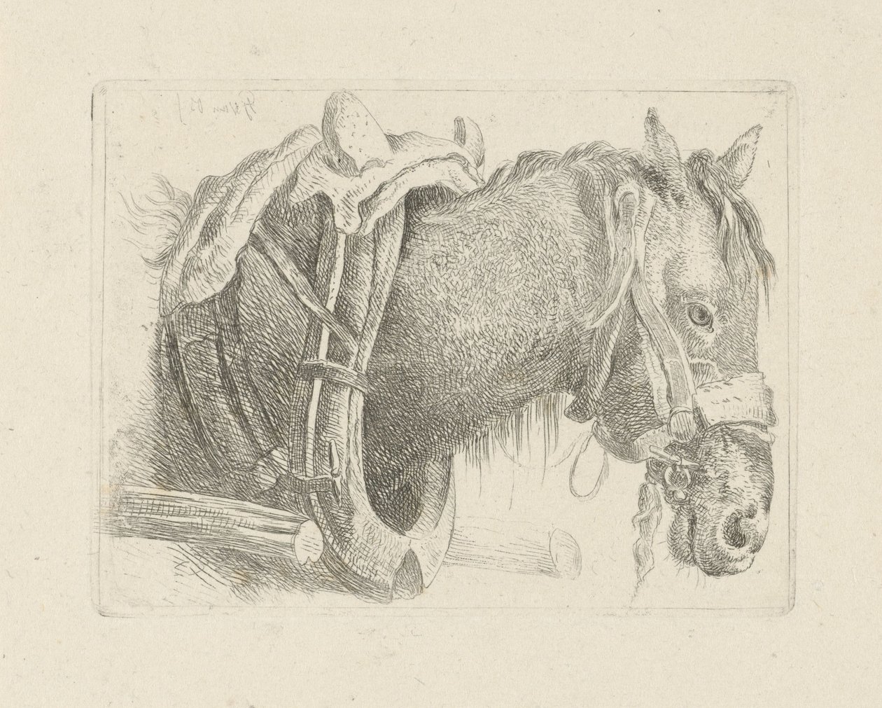 Studio di una testa di cavallo da Pieter Gerardus van Os
