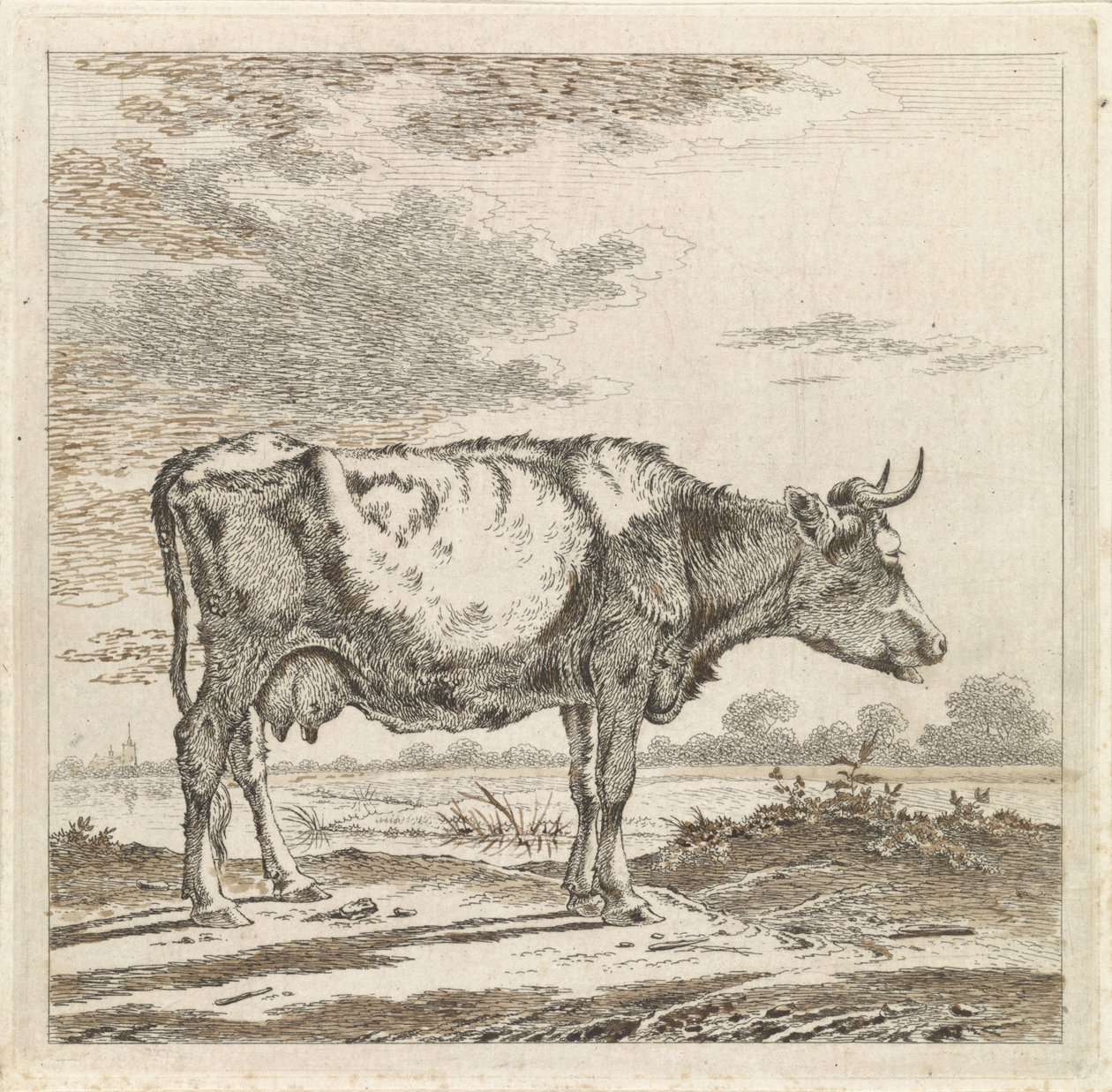 Paesaggio con mucca sulla riva da Pieter Janson