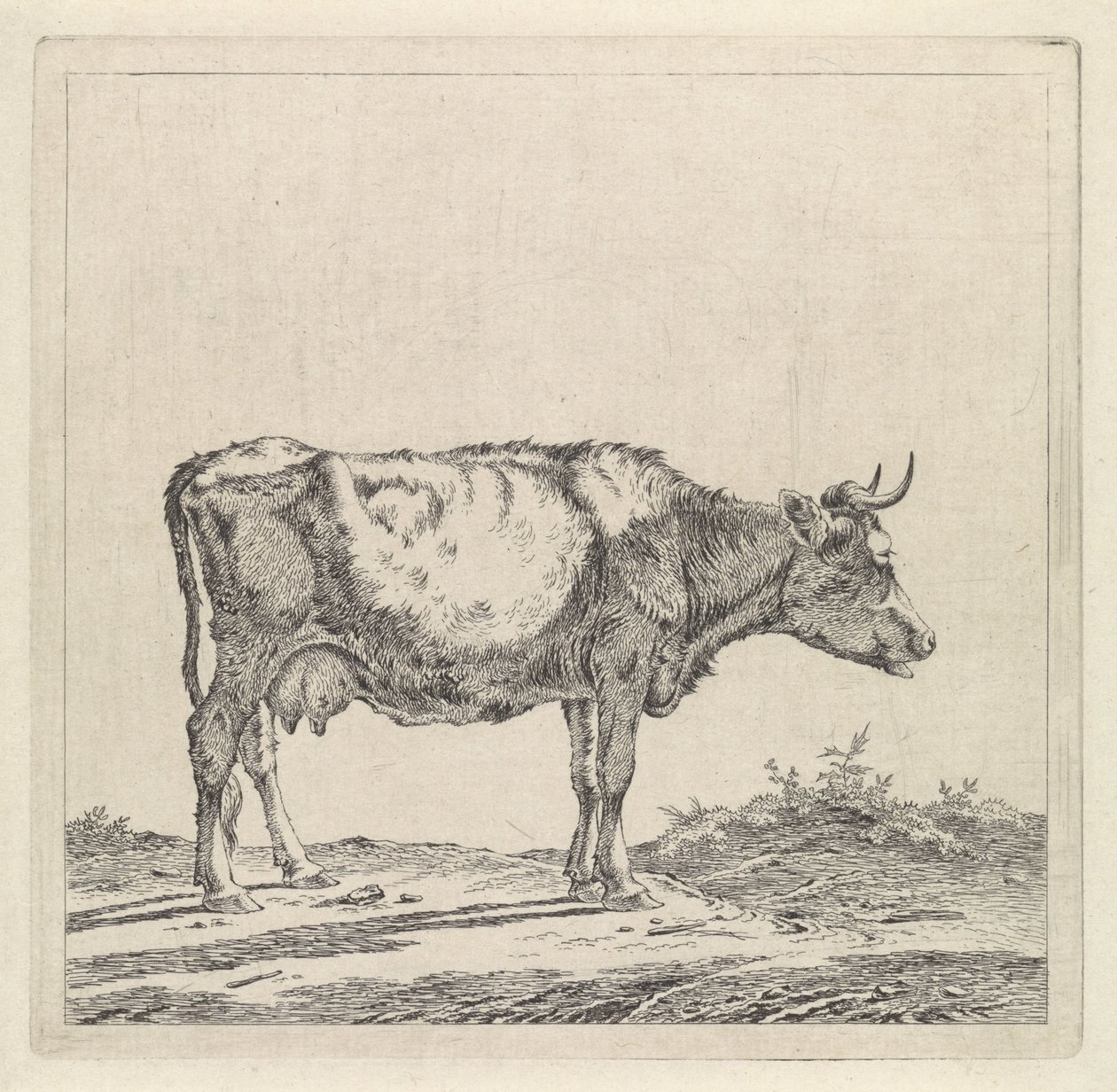 Paesaggio con mucca sulla riva da Pieter Janson