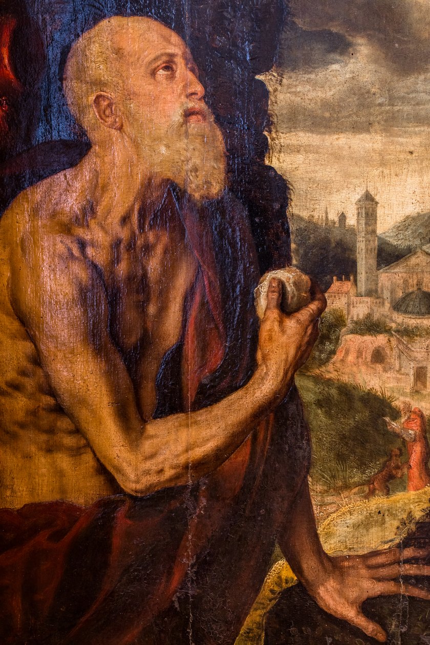 San Girolamo penitente da Pieter Jansz. Pourbus