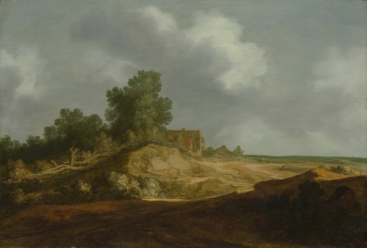 Paesaggio con un cottage da Pieter Molijn