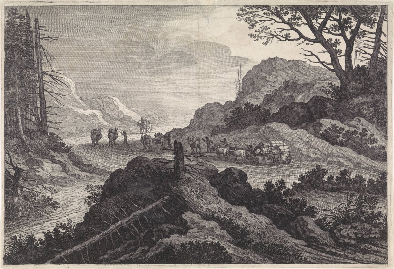 Asini da soma su una strada da Pieter Nolpe