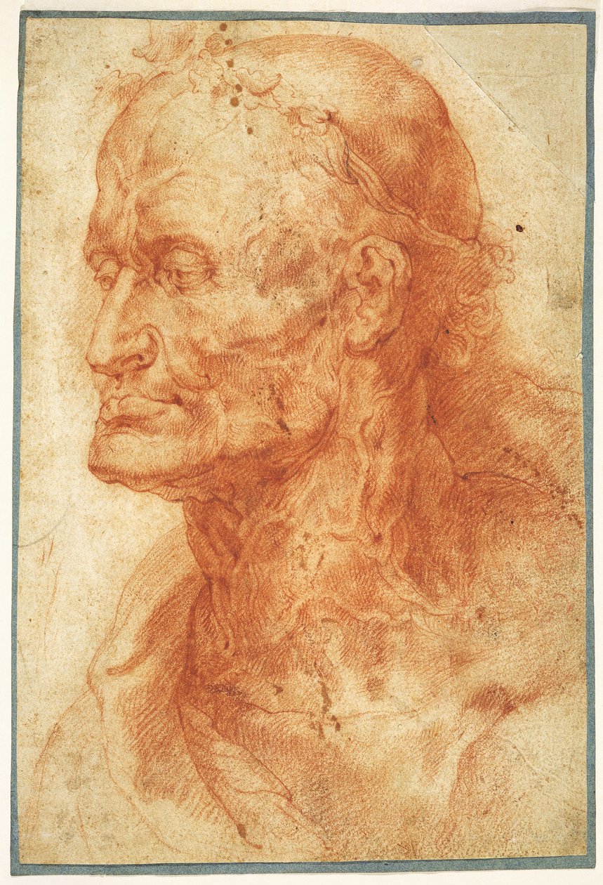 Studio della Testa di un Vecchio da Pieter Paul Rubens
