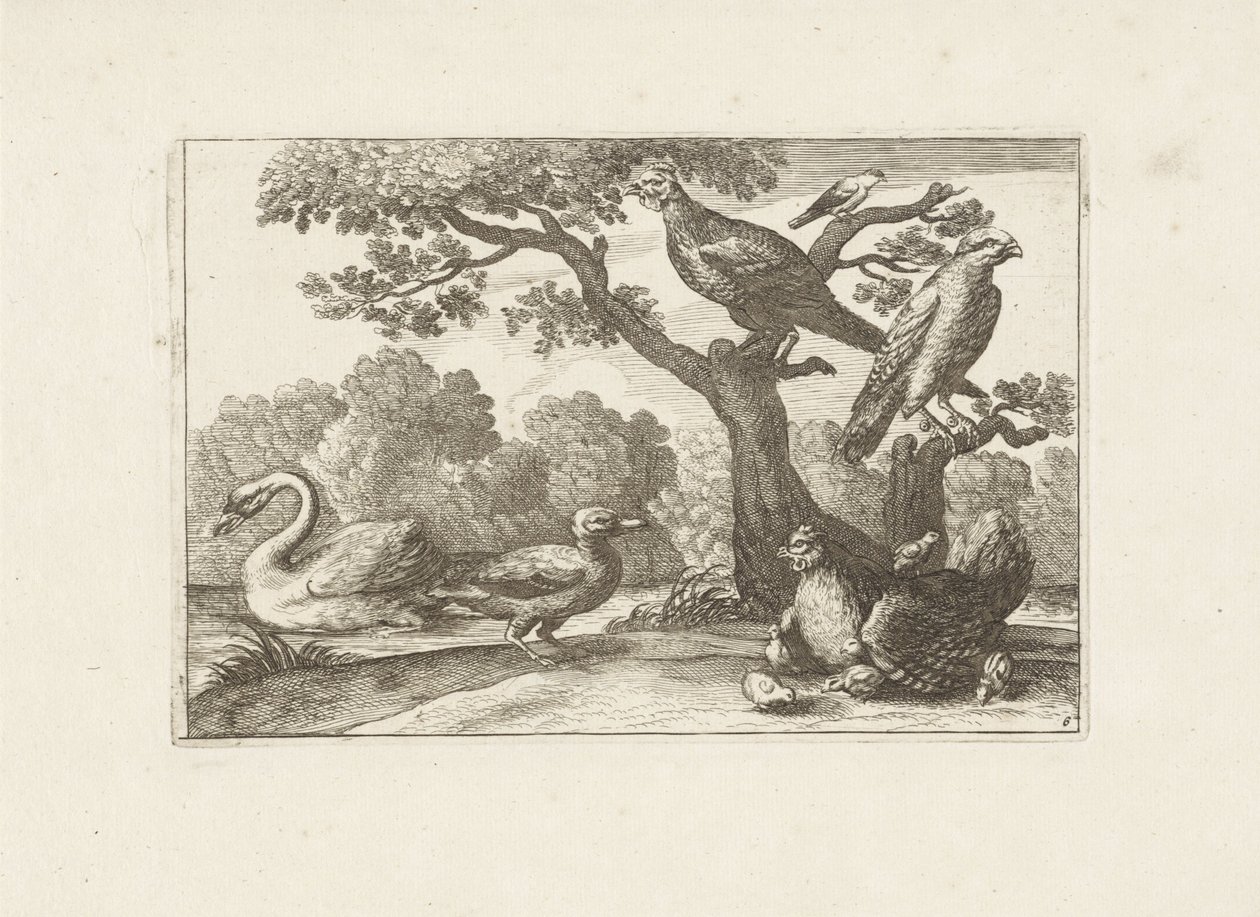 Gallina con pulcini e altri uccelli da Pieter Schenk (I) (attributed to)