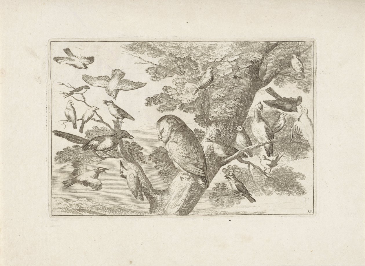 Gufo e altri uccelli su un albero da Pieter Schenk (I) (attributed to)