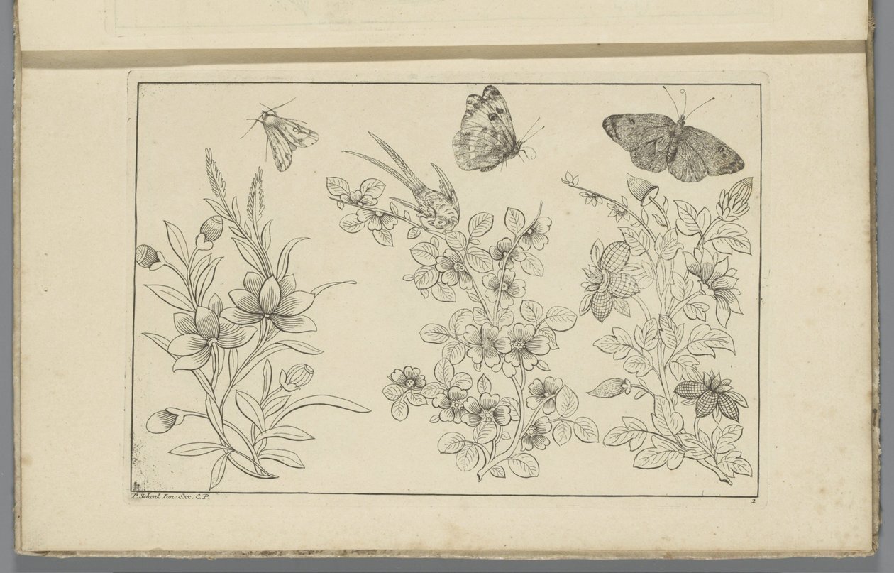 Tre rami di fiori e tre farfalle da Pieter Schenk (II)