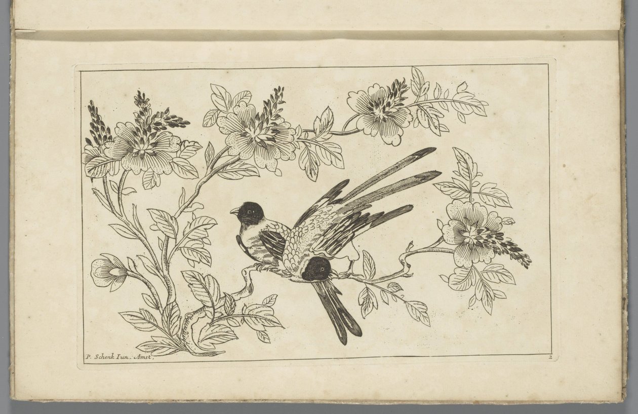 Due uccelli su un ramo fiorito
Fiori e uccelli cinesi (titolo della serie) da Pieter Schenk (II)