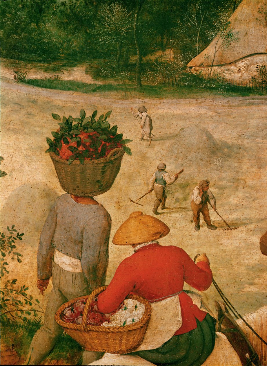 Il raccolto di fieno... (olio su legno di quercia) da Pieter the Elder Bruegel