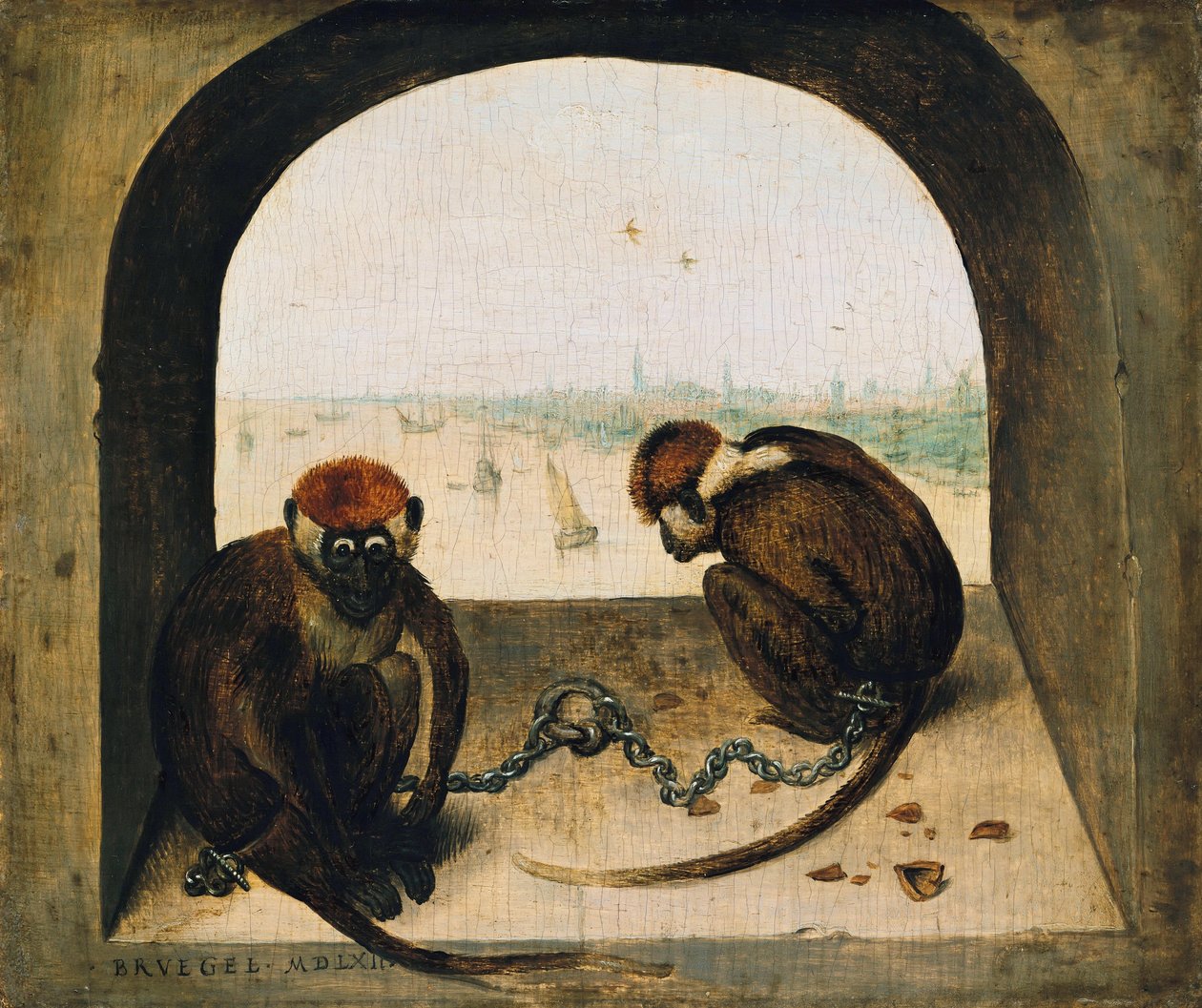 Due scimmie incatenate da Pieter Bruegel the Elder
