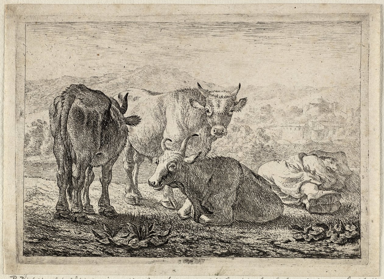 Tedesco: Drei Rinder und ein schlafender Hirte
Francese: Les boeufs
Tre bovini e un pastore addormentato da Pieter van Laer