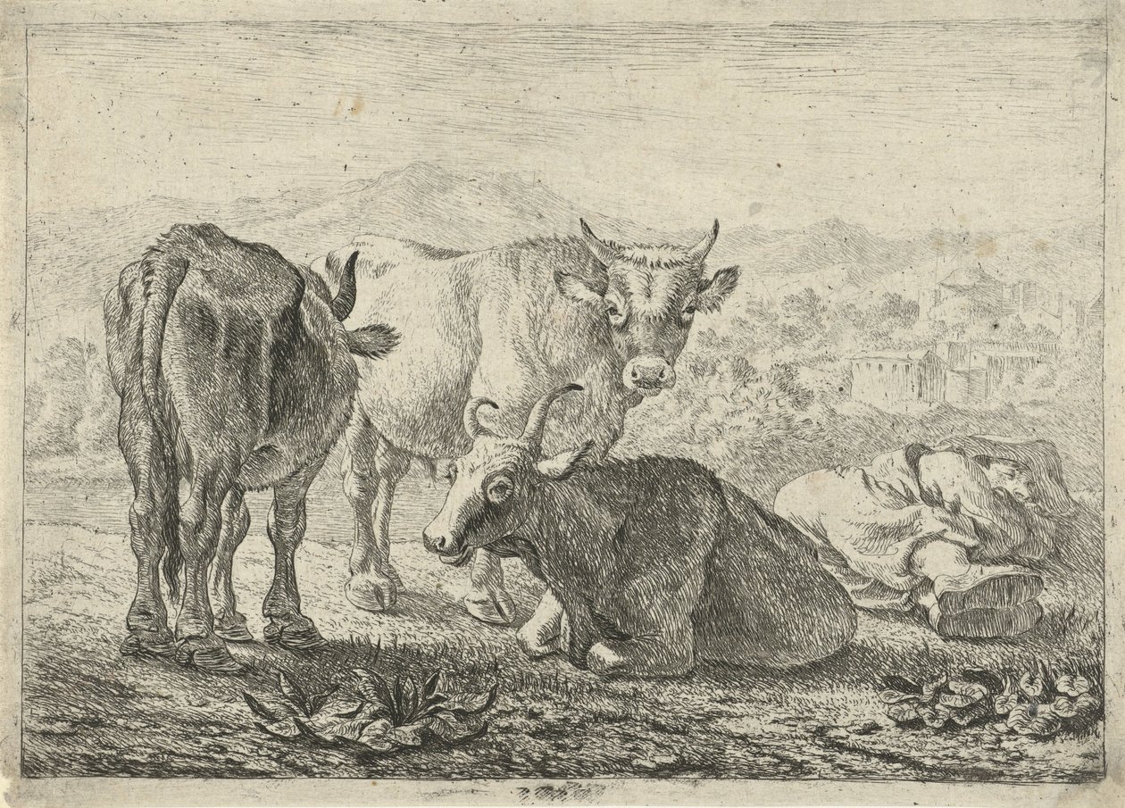 Tedesco: Drei Rinder und ein schlafender Hirte
Francese: Les boeufs
Tre bovini e un pastore addormentato da Pieter van Laer