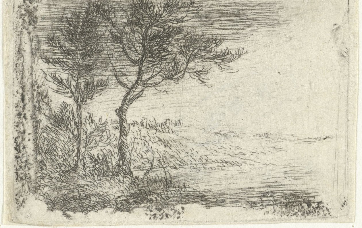 Tedesco: Paesaggio con due alberi da Pieter van Laer