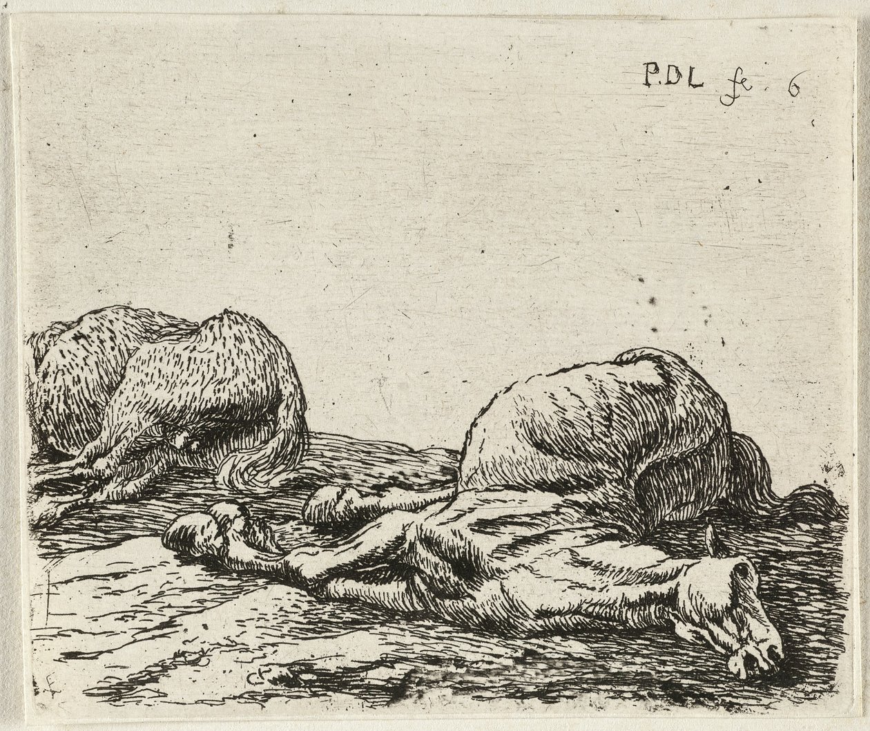 Tedesco: Zwei tote Pferde
Francese: Les deux chevaux morts
Due cavalli morti da Pieter van Laer