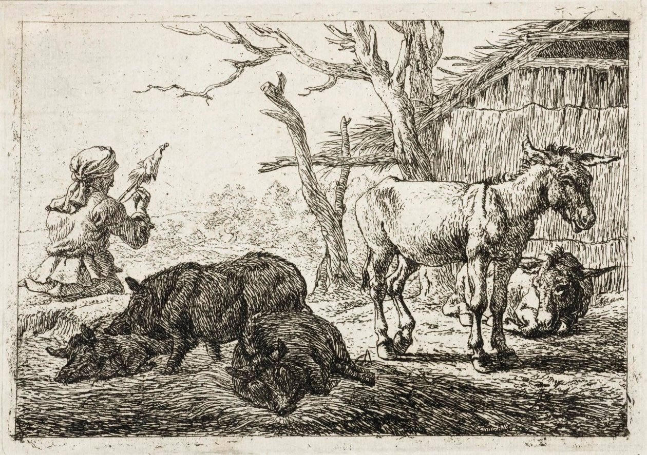 Suini e asini in una stalla, a sinistra una donna filatrice da Pieter van Laer